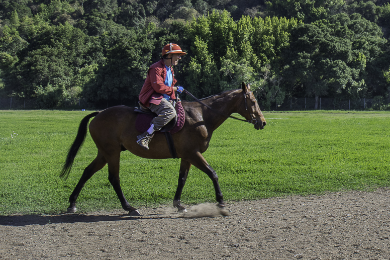 webb ranch